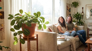 Una planta Maranta en primer plano sobre un soporte de madera. Detrás, una pareja sonriente sentada en un sofá claro frente a una ventana luminosa en una sala.