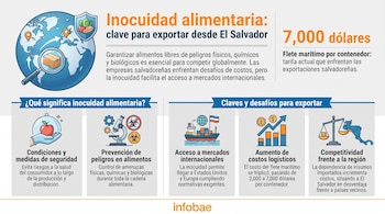 Infografía sobre inocuidad alimentaria. Muestra un globo, contenedor, escudo con comida, gráficos, barco, microscopio, manzana, balanza. Infobae.