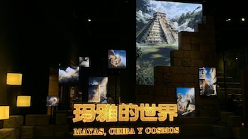 Entrada a una exposición con letras iluminadas que dicen 'MAYAS, CEIBA Y COSMOS'. Se muestran proyecciones de la pirámide maya de Chichén Itzá y elementos cósmicos en pantallas oscuras