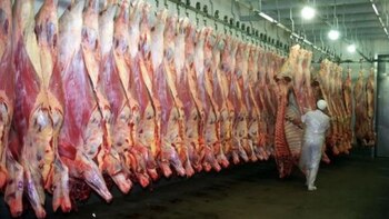La Argentina pasó de faenar