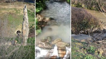 El colector que arroja los