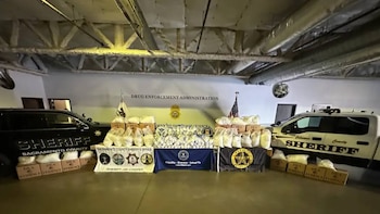 Las fuerzas de seguridad localizaron