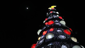 En estas fechas, las autoridades