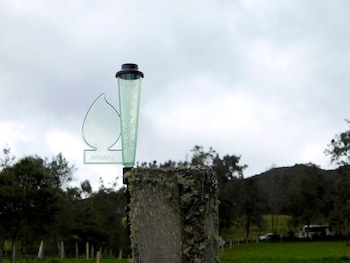 Las comunidades hacen recolección de