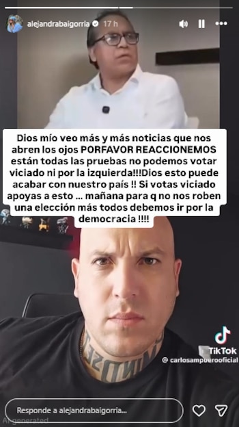 Captura de pantalla de una historia de Instagram de Alejandra Baigorria mostrando un video de un hombre con gafas y un texto sobre elecciones