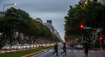 Una avenida urbana durante un atardecer ventoso y gris. Árboles verdes se agitan, hojas secas vuelan. Coches con luces encendidas y peatones cruzan una calle mojada.