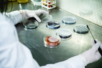 Las pruebas de laboratorio se