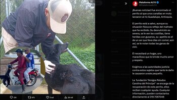 El animal rescatado presentaba desnutrición