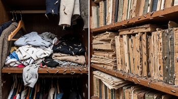 Dos paneles que muestran pececillos de plata sobre ropa apilada dentro de un armario y sobre libros colocados en un estante.