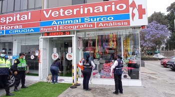 Veterinaria en Surco es constantemente