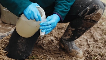 La contaminación agrícola agrava la