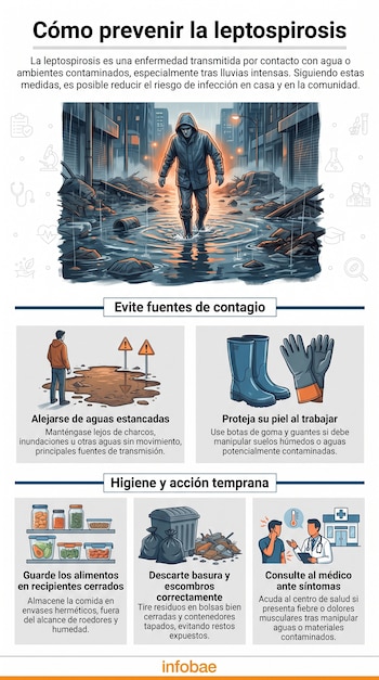 Infografía de Infobae sobre cómo prevenir la leptospirosis, con ilustraciones de persona en inundación, botas, guantes, comida en envases, basura y médico.