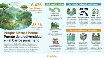 Infografía animada del Parque Sierra Llorona en Panamá, mostrando un río, montaña, flora y fauna tropical como un jaguar, junto a datos clave y gráficos.