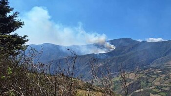 Incendio forestal se cobró una