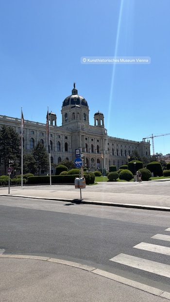 Vista exterior del Kunsthistorisches Museum de Viena con su gran cúpula oscura, fachada clásica, árboles recortados y arbustos bajo un cielo azul despejado