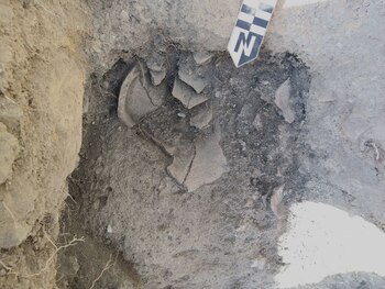 Se hallaron restos de braceros