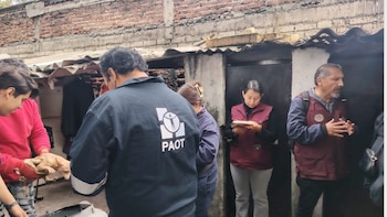 Rescatan a más de 30 perros víctimas de maltrato animal en alcaldía Iztapalapa: estaban encerrados dentro de una vivienda