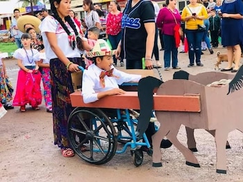 Jesús desfiló en Sonora con su silla de ruedas en forma de carreta (Foto: Facebook)