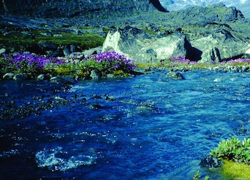 Cambios en la producción de