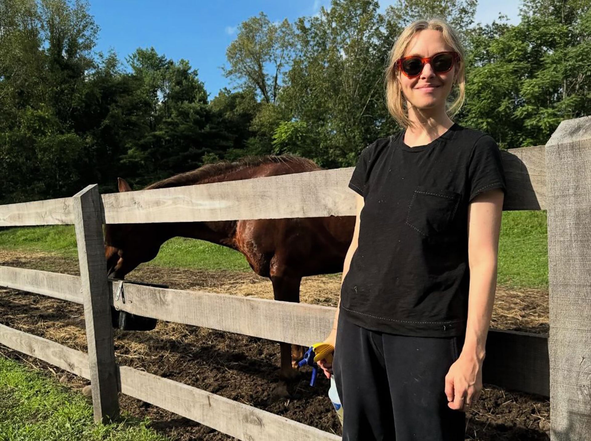 Amanda Seyfried transformó su granja de los Catskills en un santuario animal sin fines de lucro bajo la categoría 501(c)(3)