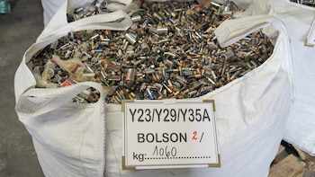 Día Mundial del Medio Ambiente: