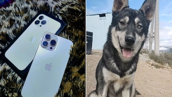 Desesperado joven ofrece iPhone 13