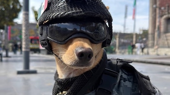 comando chihuahua y jaime maussan -México- 26 septiembre