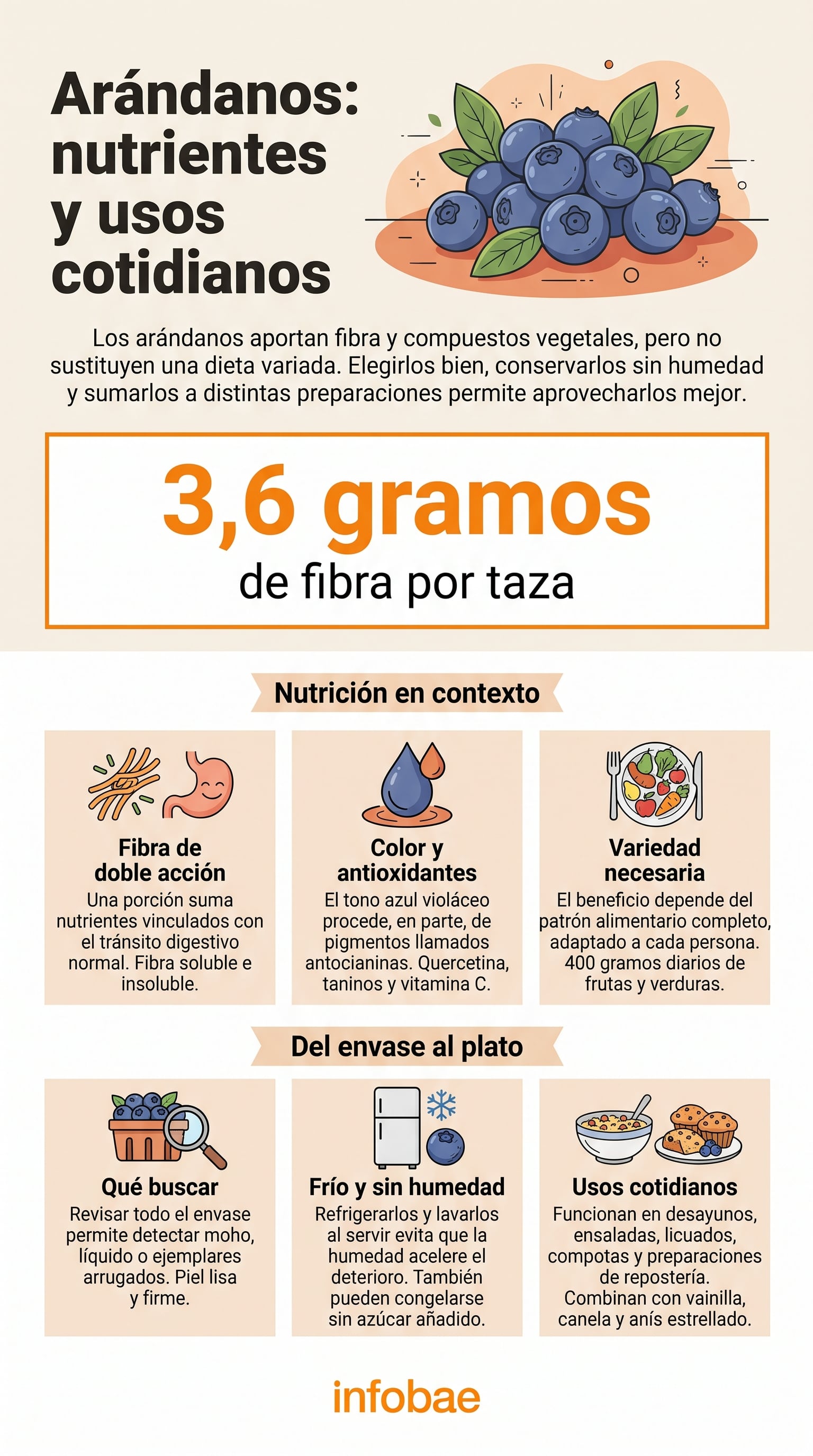 Una taza de arándanos contiene cerca de 3,6 gramos de fibra. (Imagen Ilustrativa Infobae)