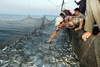 El mar Mediterráneo, el Atlántico