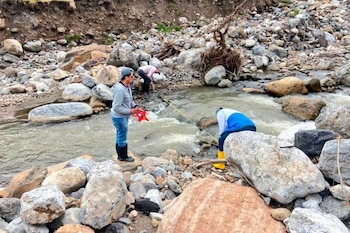 La búsqueda de Daniel Ballesteros