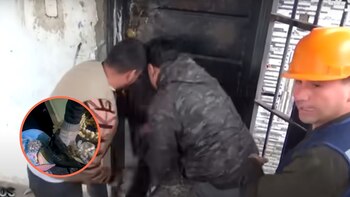 La intervención finalizó con la