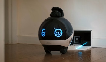 Para este año destacaron dispositivos