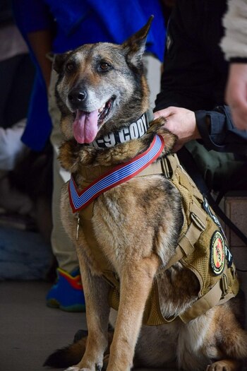 Su valentía y dedicación la