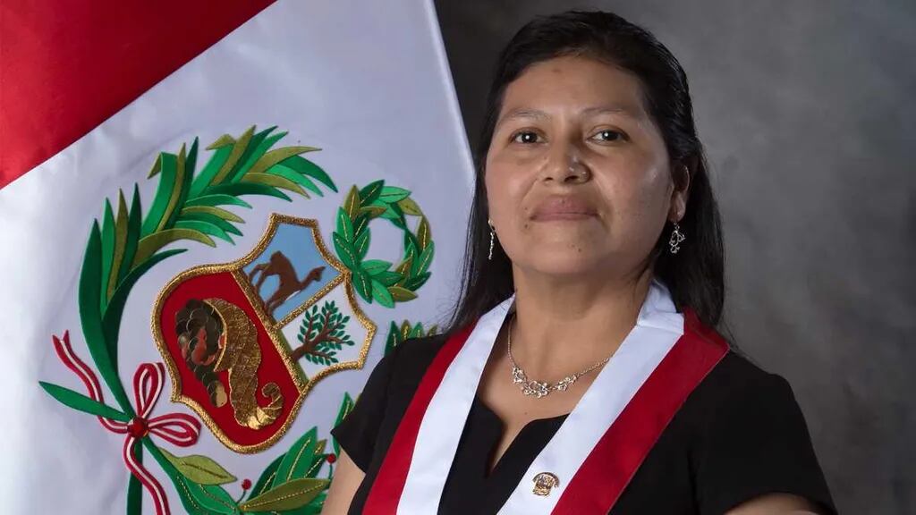 El proyecto fue presentado por la congresista Janet Milagros Rivas de Perú Libre. - Crédito Difusión
