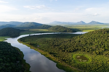 A través de los ríos, el yaguareté se traslada a otras provincias y países (Photo by Adam Moore | Edges Of Earth)