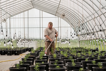 Andy Huston, sexta generación de