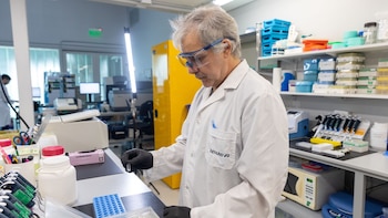 El desarrollo de anticuerpos policlonales