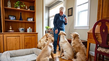 Sentado, quieto, despídete