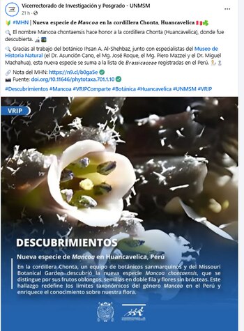 Huancavelica-planta-descubrimiento-06 de junio