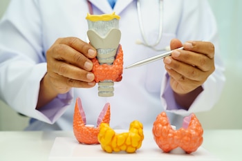 Hipertiroidismo (Adobe Stock)