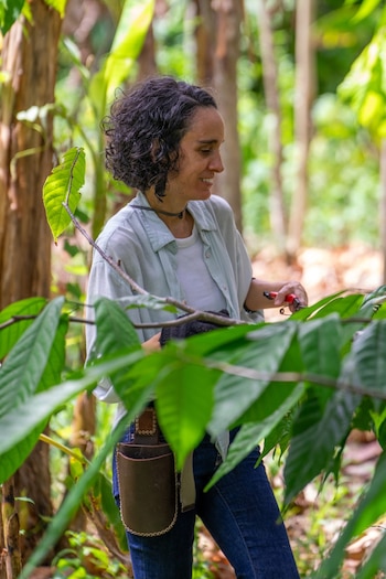 La especialista mencionó que existen otros proyectos de agricultura sintrópica en el país. Entre ellos citó a Campo Real, en Bonao, y a Quisqueya Permacultura, en Las Galeras de Samaná, iniciativa que identificó como una de las pioneras en esta práctica desde hace cerca de ocho años. (Foto cortesía Intracen.org)