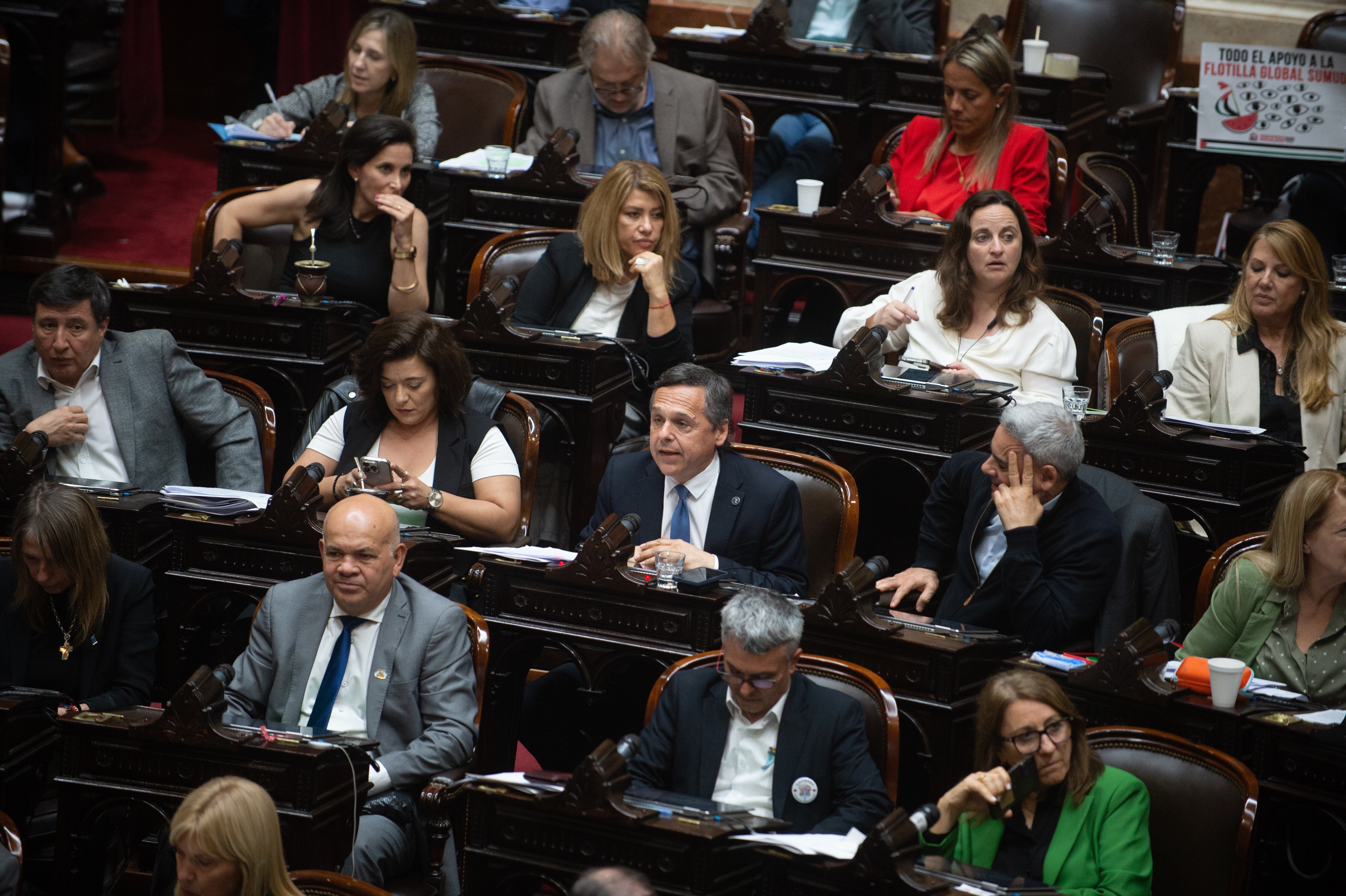 En la Cámara de Diputados, las mujeres son el 42% del total: 109 sobre 257 escaños (Jaime Olivos)