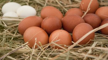 En qué lugar de México