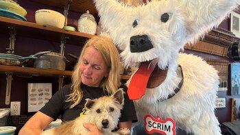 La increíble historia de Scrim,