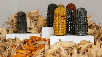 La naturaleza y los ritos