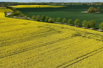 El impulso a recorridos sin calzado responde a la búsqueda de alternativas que favorezcan el equilibrio emocional y físico - REUTERS/Annegret Hilse