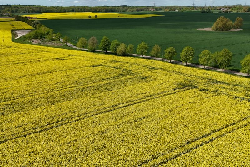 El impulso a recorridos sin calzado responde a la búsqueda de alternativas que favorezcan el equilibrio emocional y físico - REUTERS/Annegret Hilse