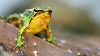 La última batalla de la