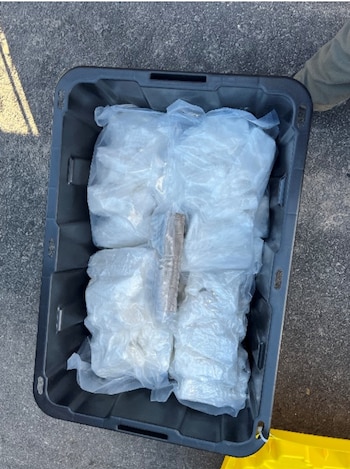 Un perro detector de narcóticos alertó a los agentes sobre la presencia de sustancias ilícitas dentro de la camioneta inspeccionada. (Homeland Security Investigations)