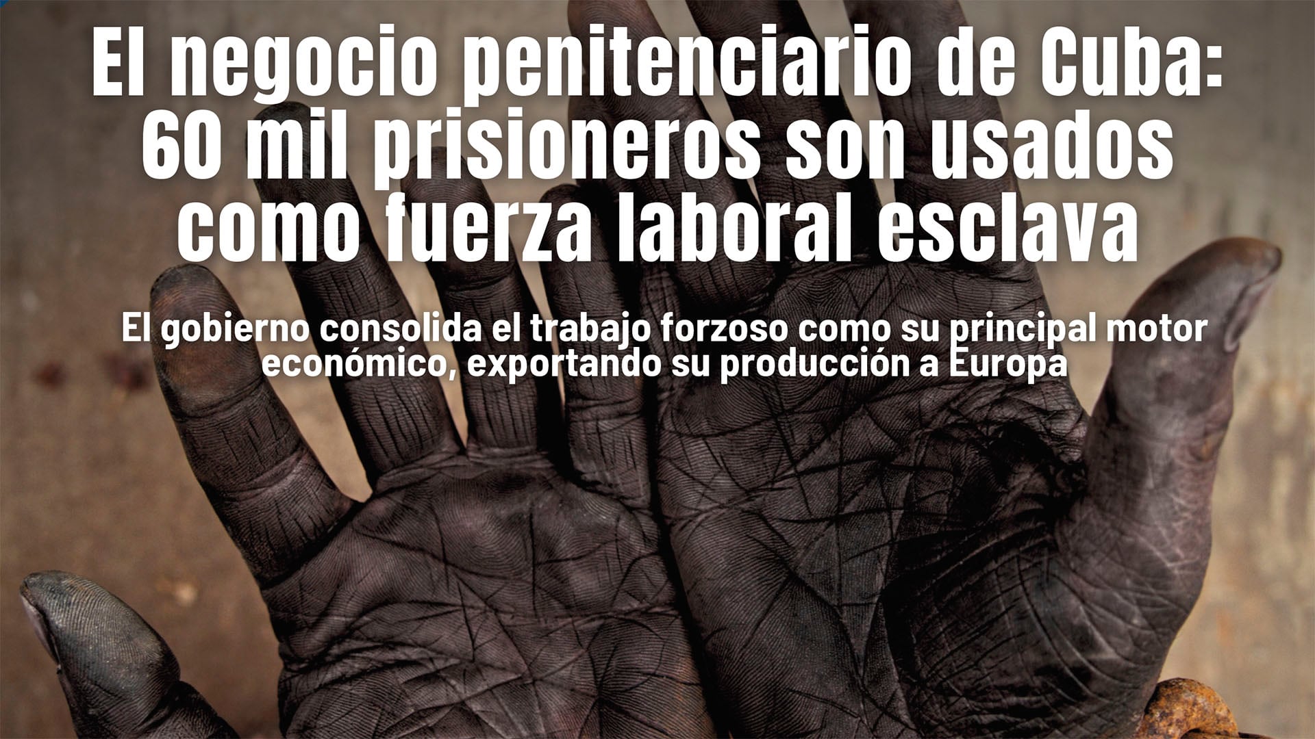 Grave denuncia contra la dictadura cubana: 60.000 presos son utilizados  como fuerza laboral esclava - Infobae